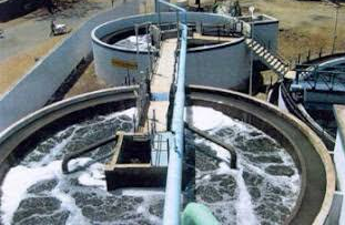 View Challenge Details